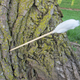 Illustration for article titled The Swiss Army Tampon: A Life-Saving Wilderness Survival Tool